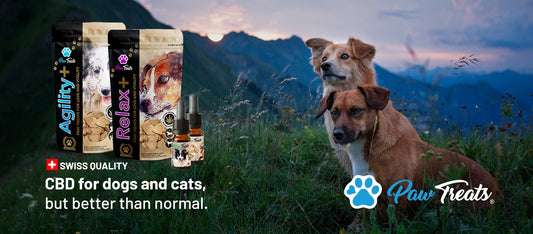 CBD For Pets