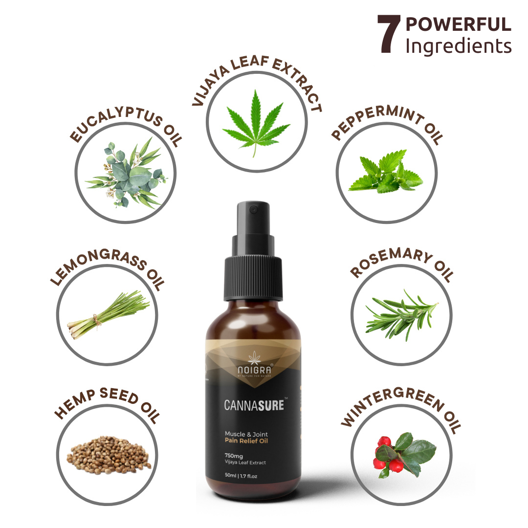 Noigra - Cannasure Muscle & Joint Pain Relief Oil (Topical)