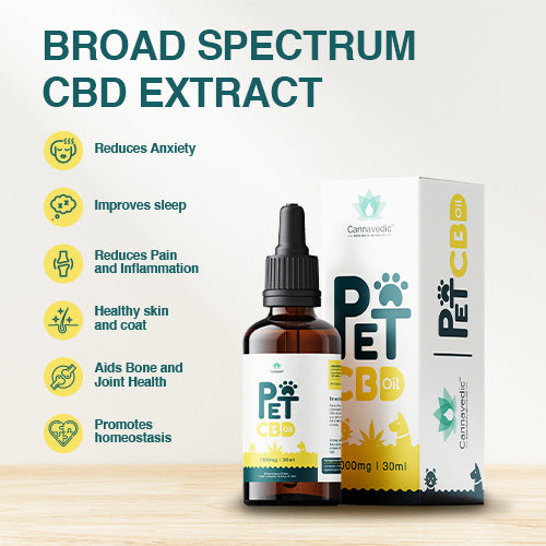 Buy Cannavedic cbd oil for pets | Hempivate