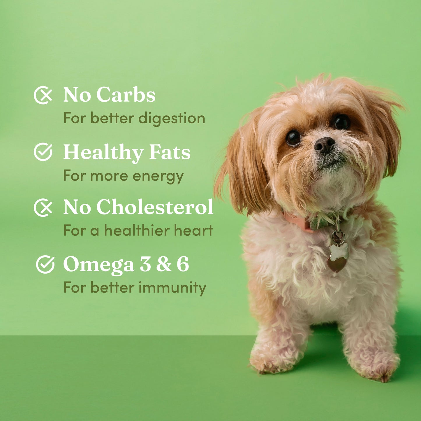 Buy - Vedic Tails - Hemp Seed Oil For Pets - Hempivate