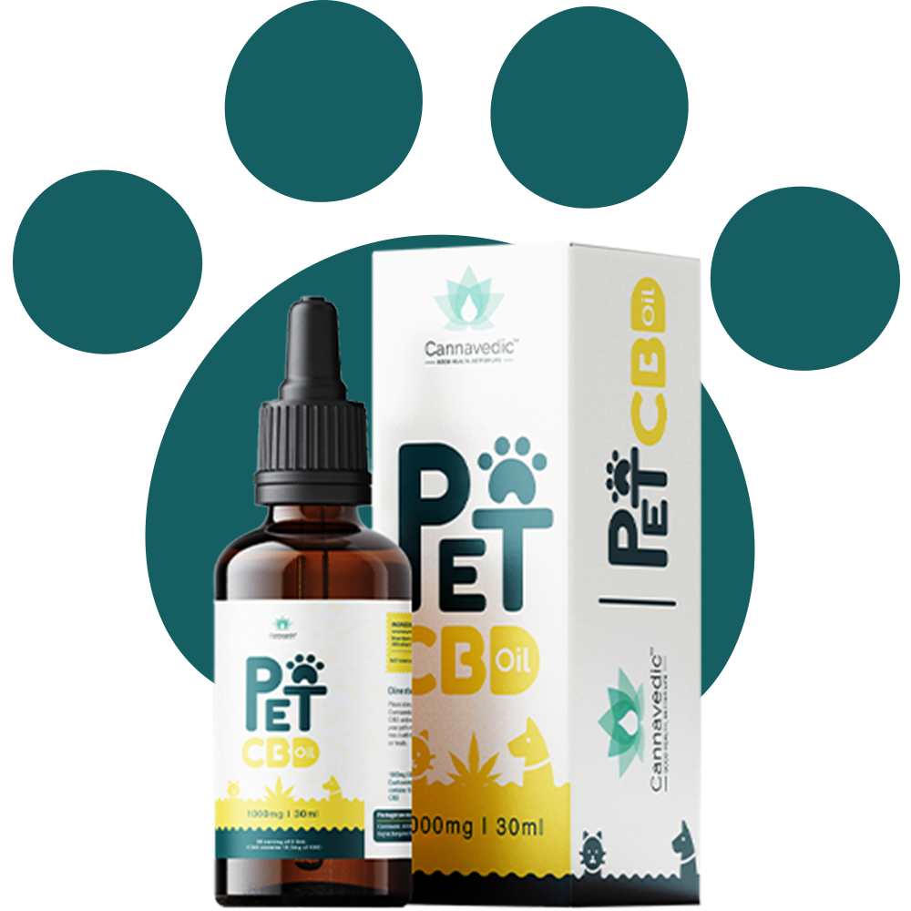 Buy Cannavedic cbd oil for pets | Hempivate