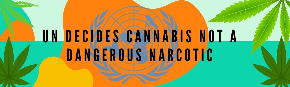 Cannabis no longer recognised as a harmful drug by UN