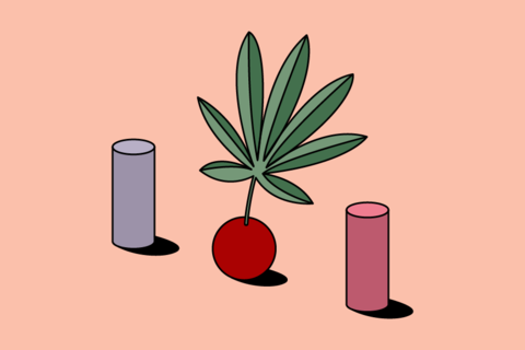 Hemp Oil & Where to Buy near me?