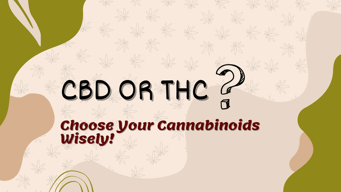 CBD or THC ? Choose Your Cannabinoid Wisely!