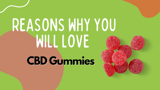 Reasons You Will Love CBD Gummies