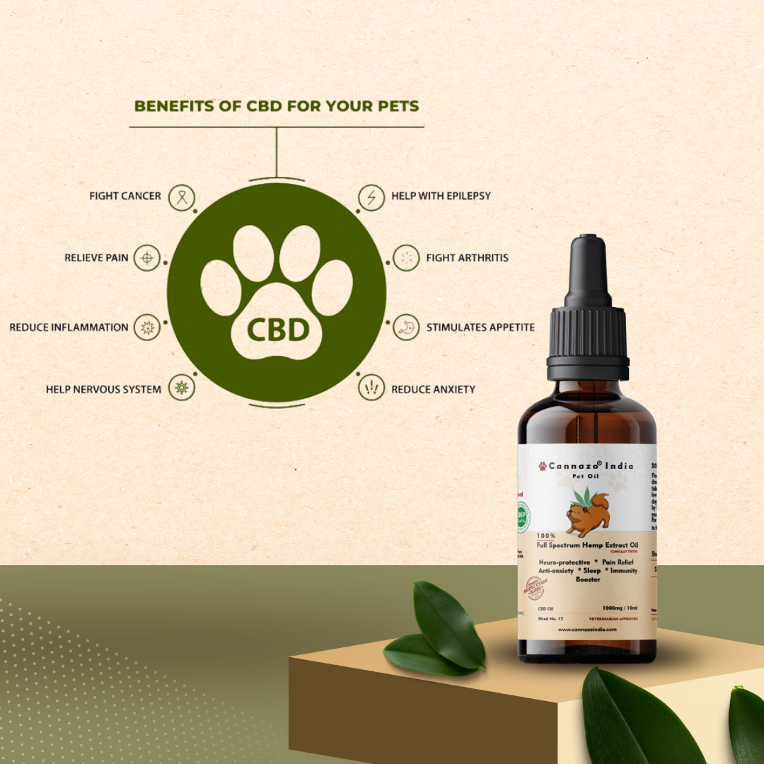 Cannazo India -  Full Spectrum CBD Extract Pet Oil 1000mg (10ml)