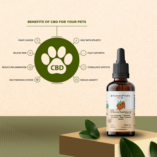 Cannazo India -  Full Spectrum CBD Extract Pet Oil 1000mg (10ml)