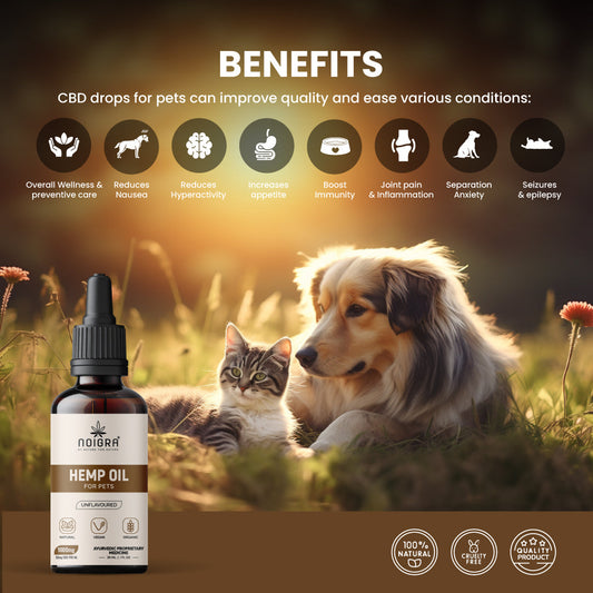 Noigra - Full Spectrum Hemp Oil For Pets (1000mg)