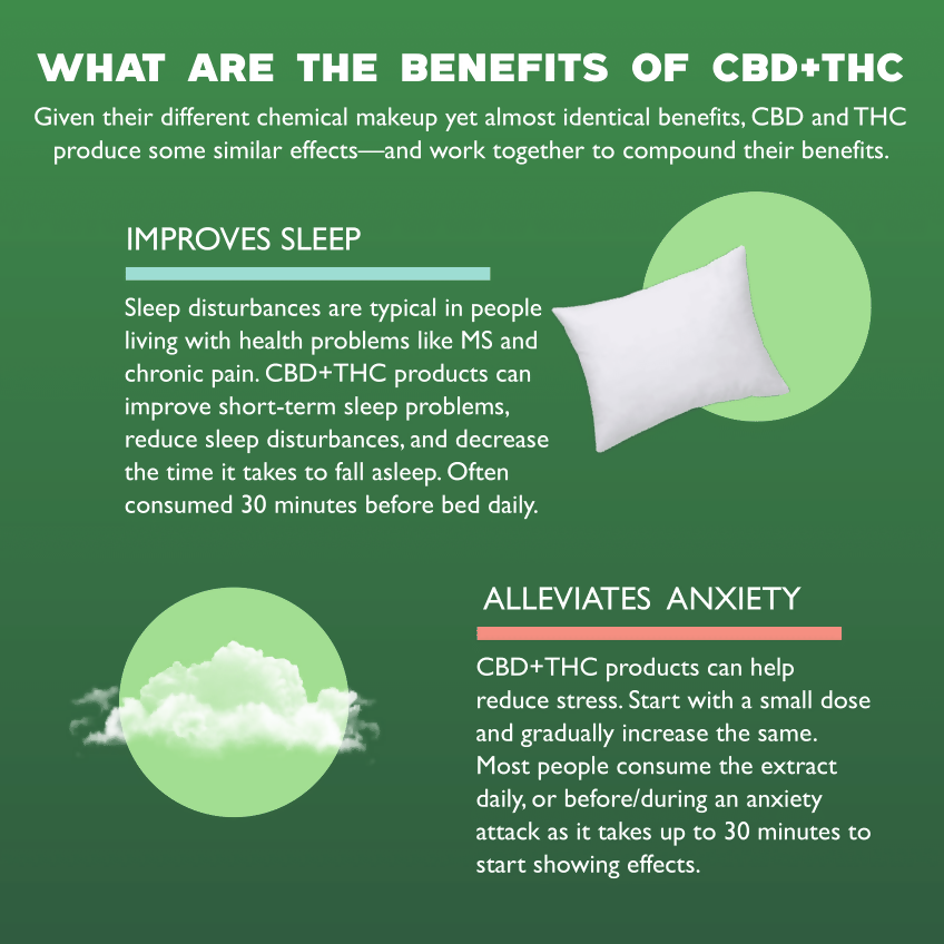 Qurist - CBD+THC Oil