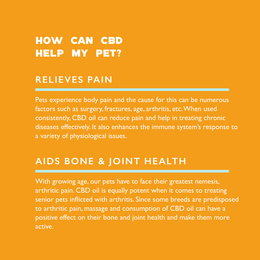 Qurist - Pet CBD Oil