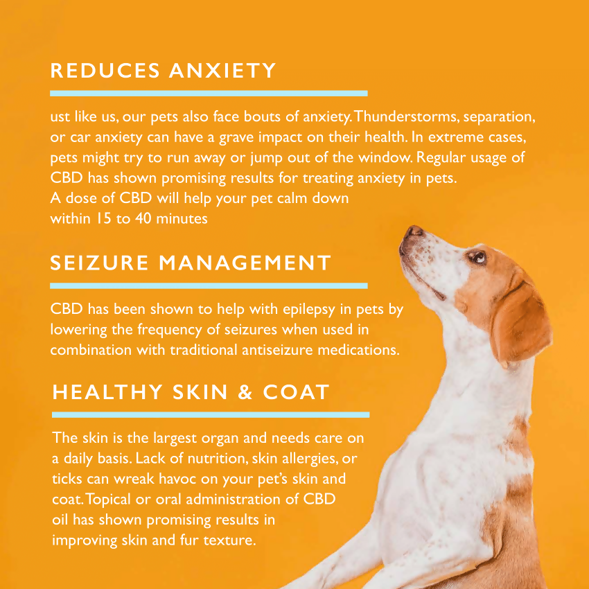 Qurist - Pet CBD Oil